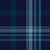 Pride of Primordial Radio tartan - closeup
