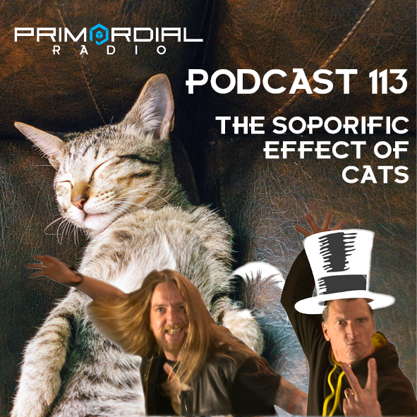 the-soporific-effects-of-cats-113-podcast image