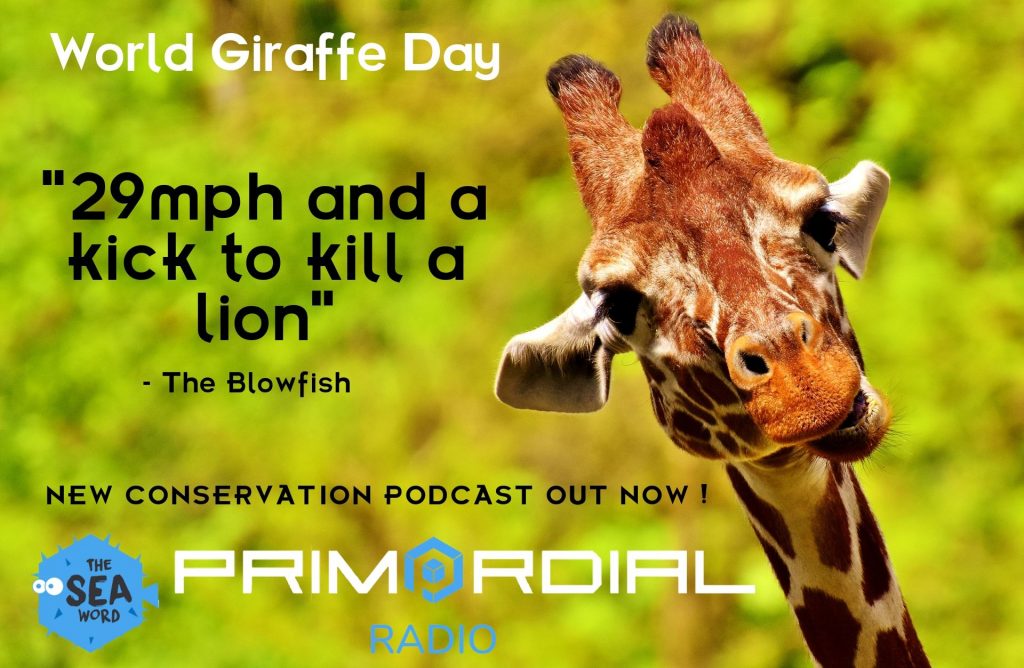 World Giraffe Day Podcast